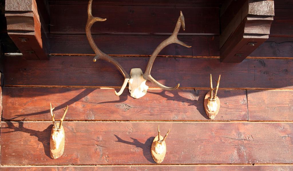 Art-Lodge Kunstpension Африц Екстериор снимка